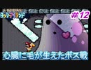 約10年ぶりのヨッシーアイランド【ノーダメージ縛り】実況プレイ PART12