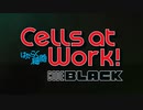 First Impressions- Cells at Work!: Code Black (はたらく細胞BLACK)