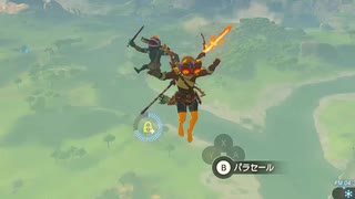 依頼を受けて、脱力したボコブリンをトロッコで連れ去ってみた