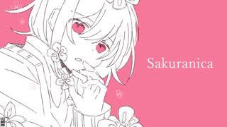 サクラニカ / v_flower
