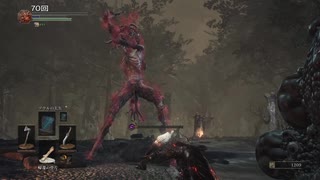 死んだ数を数えながらDARK SOULS3実況してみたPart.013