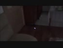 水に混入している小型チップ
