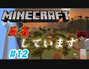 【Minecraft】初心者と一緒にのんびりマイクラ生活#12【女性２人実況】