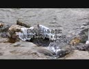 春を待つ / MiddletaM