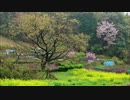 Uplifting Trance DnB Reconnoitre [ZachPayne] 115bpm→203bpm