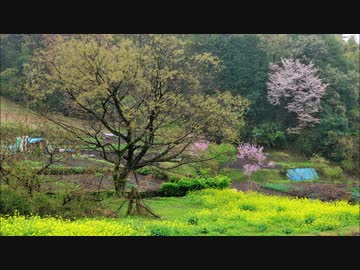 Uplifting Trance DnB Reconnoitre [ZachPayne] 115bpm→203bpm