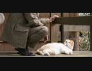風に聞け　２１０３１２　Highway One - Steve Adams