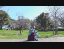 【めりあ】夢と葉桜　踊ってみた