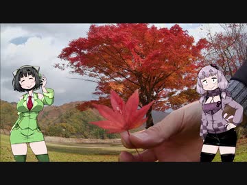 【VOICEROIDアウトドア】ゆかズマ!part29【2020・紅葉ツーリング編】