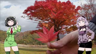 【VOICEROIDアウトドア】ゆかズマ!part29【2020・紅葉ツーリング編】