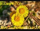 【スパイスを知ろう！】コルツフットを知ろう！【part103】