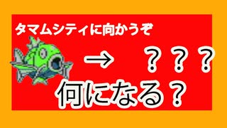 ポケモンxy ランダムフリー実況対戦 その３ 確定急所コンボ ニコニコ動画