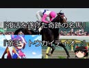【競馬】ゆっくりさんと未来に語り継ぎたい名馬たち その002【ゆっくり朗読】