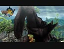 私は渓流のココが好き【MH3G.HDver】