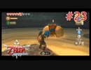 勇者に惚れてるOLのスカウォ【ゼルダの伝説 スカイウォードソード】part23