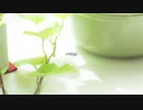 [NNI]indigo