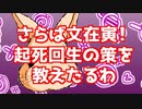 【ウサギさんニュース】ちゃっぴぃの部屋　さらば文在寅　ワシが起死回生の策を教えたるわ