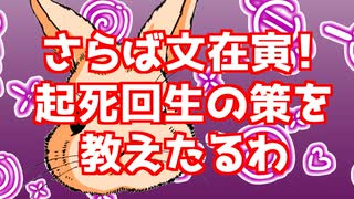 【ウサギさんニュース】ちゃっぴぃの部屋　さらば文在寅　ワシが起死回生の策を教えたるわ