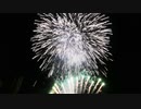 【2021年3月13日㈯】河口湖 冬花火 「大池公園(メイン会場)」