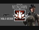 【R6S】DMRは当たれば強い　アルニ活躍集【PS4 レインボーシックスシージ】