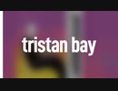 【エレクトロニカ】Tristan Bay - Awkward Human（不器用な人間～ＥＰ全体）