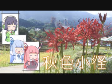琴葉姉妹のバイクでおでかけVol.6_秋色小径