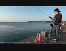 【後援会アーカイブ】ぬこまた釣査団　1回目　爆釣サビキ釣り