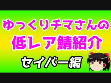 ゆっくり低レアサーヴァント紹介　セイバー編