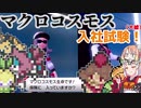 【ポケモン剣盾】そら×ついの色違いガラル旅～マクロコスモス入社試験！～part22