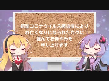 じゃんくはんたーゆかりん#12