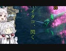 [イタコさんとついなちゃん]ブンブジナの親分を倒そう虫棍！[MHRiseDEMO]