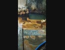 【温泉】肘折温泉 手彫り洞窟温泉 松屋