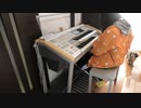 紅蓮華　エレクトーンで弾いてみた