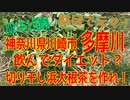 「多摩川」飲んでダイエット？切り干しハマダイコン茶を作れ！