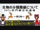 生物の分類階級【ゆっくり解説】