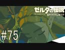 【ゼルダの伝説ブレスオブザワイルド＃75】彼女は年相応のお姫様【はるの積みゲー崩し】