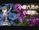 【単発】小春六花の小春探し