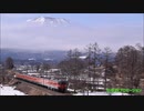 【S25編成】115系湘南色編成と北しなの線を巡る冒険(前編)【S3編成】