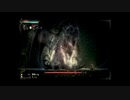【実況】へっぽこアベル無謀にもあの呪われた島へ（Salt and Sanctuary）62