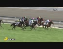 ペプチドヒミコ　4歳以上1勝クラス　2021年3月14日