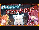 会長と船長の壮絶な圧を受ける人畜無害の白上フブキ【ホロライブ/宝鐘マリン/桐生ココ/切り抜き】