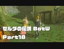 今更始めるゼル伝BotW実況 Part18