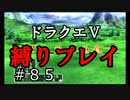 【ドラクエ5 縛りプレイ】ボブルの塔を後にして向かった先は…無数の手！？Part85【アルカリ性】