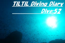 TILTIL diving diary：Dive52