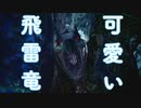 【MHW実況】こんな厳つい顔してるけど実はよく転ぶ可愛いやつ～Part6～【モンハンワールド】