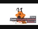 Why NexGard Spectra is the most recommended product by many pet parents?