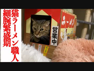 麺屋台の死闘！猫ラーメン職人vs悪徳地上げ屋猫コンビ