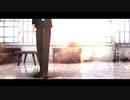 【サバナ】ハルジオン【カメラ配布】