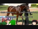 【競馬】ゆっくりさんと未来に語り継ぎたい名馬たち その003【ゆっくり朗読】