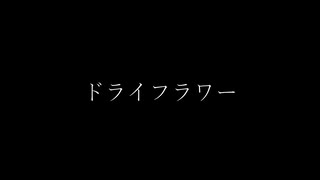 【歌ってみた】ドライフラワー/優里【しゃも】